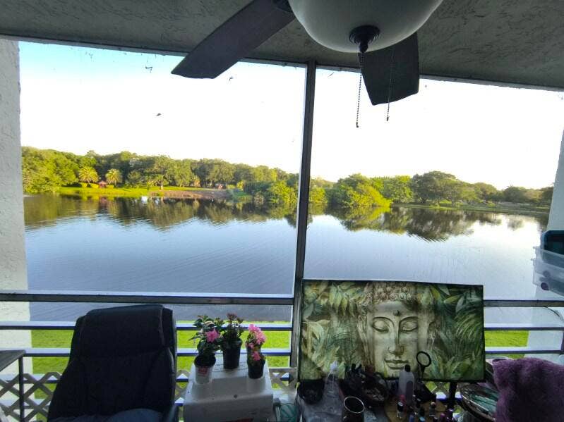 patio view