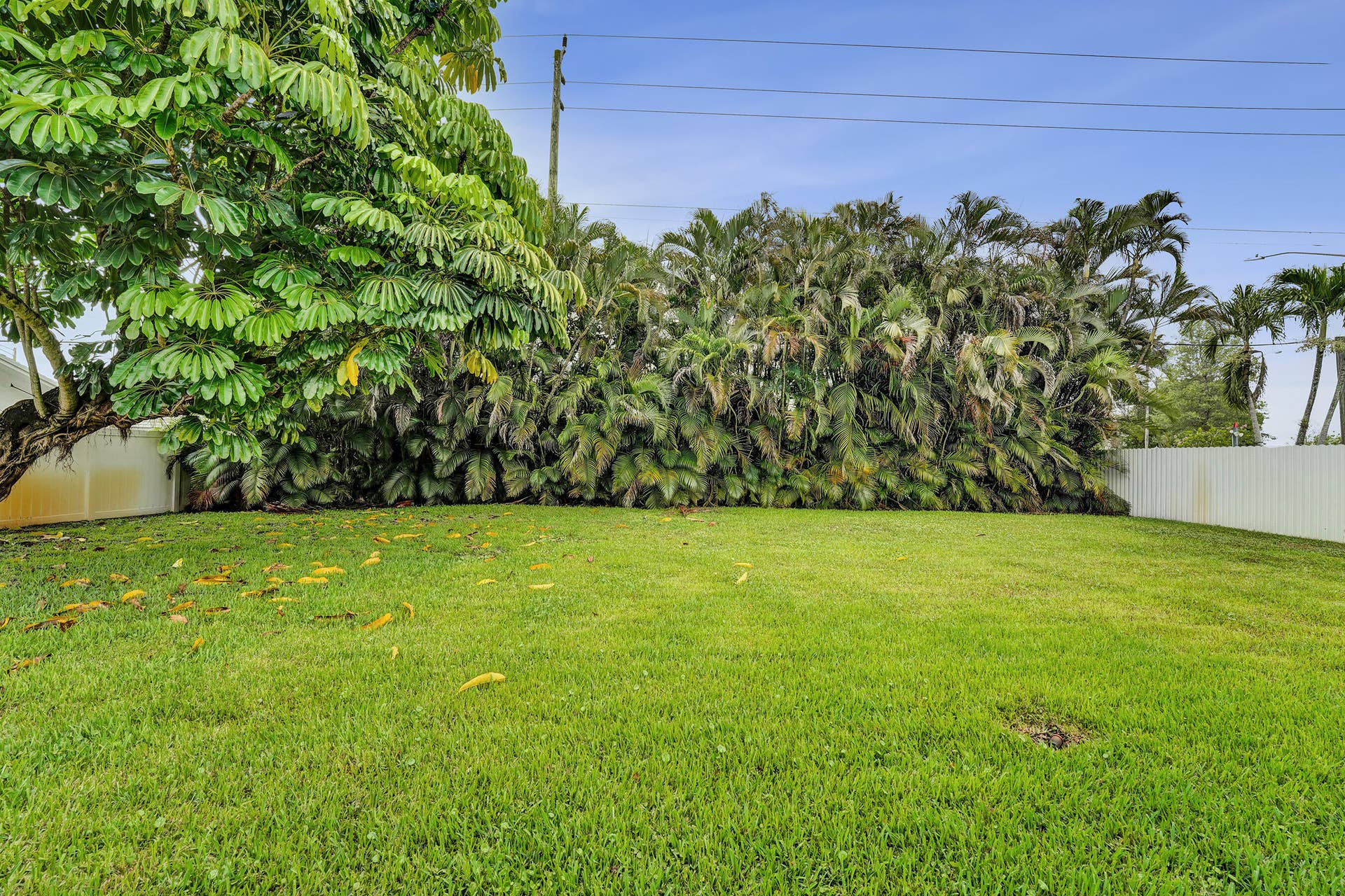 8650 SW 51st Street, Cooper City, FL 33328 DSC02736