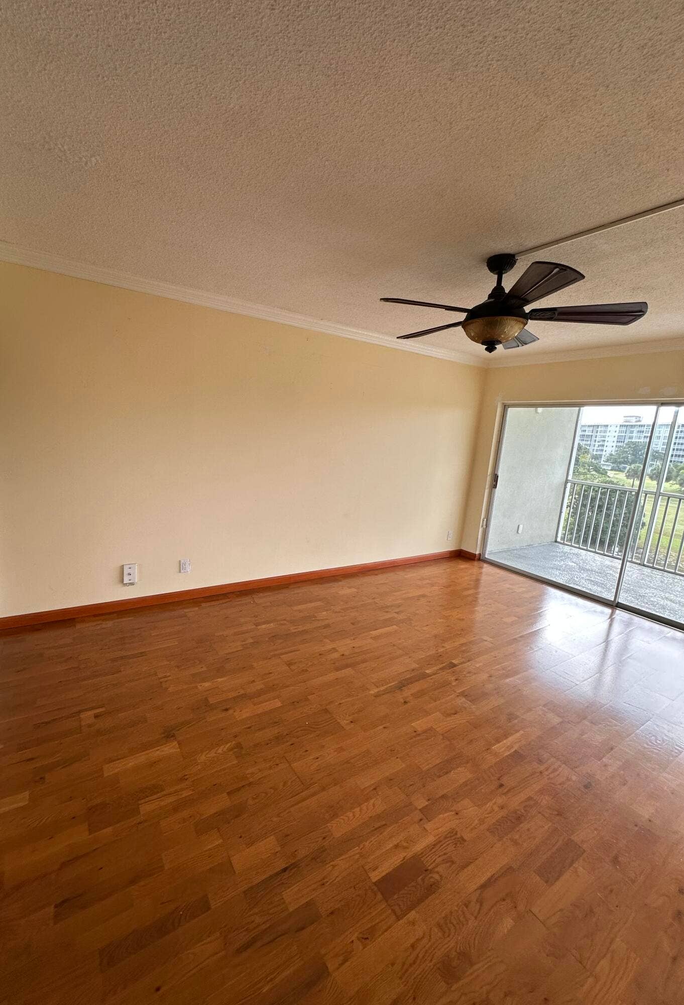 2900 Palm Aire Dr, #406, Pompano Beach, FL 33069 IMG_5091
