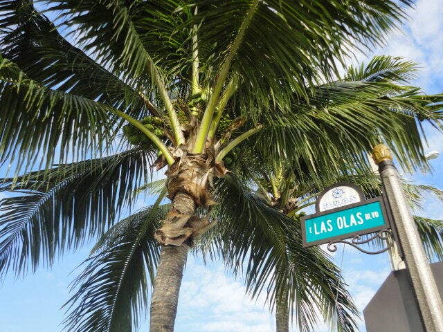 2840 N Ocean Boulevard, #507, Fort Lauderdale, FL 33308 Swayng Palms