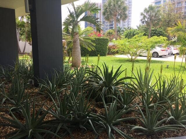 2840 N Ocean Boulevard, #507, Fort Lauderdale, FL 33308 Gardens