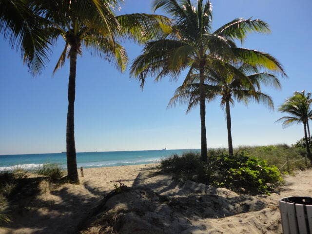 2840 N Ocean Boulevard, #507, Fort Lauderdale, FL 33308 Secluded beach
