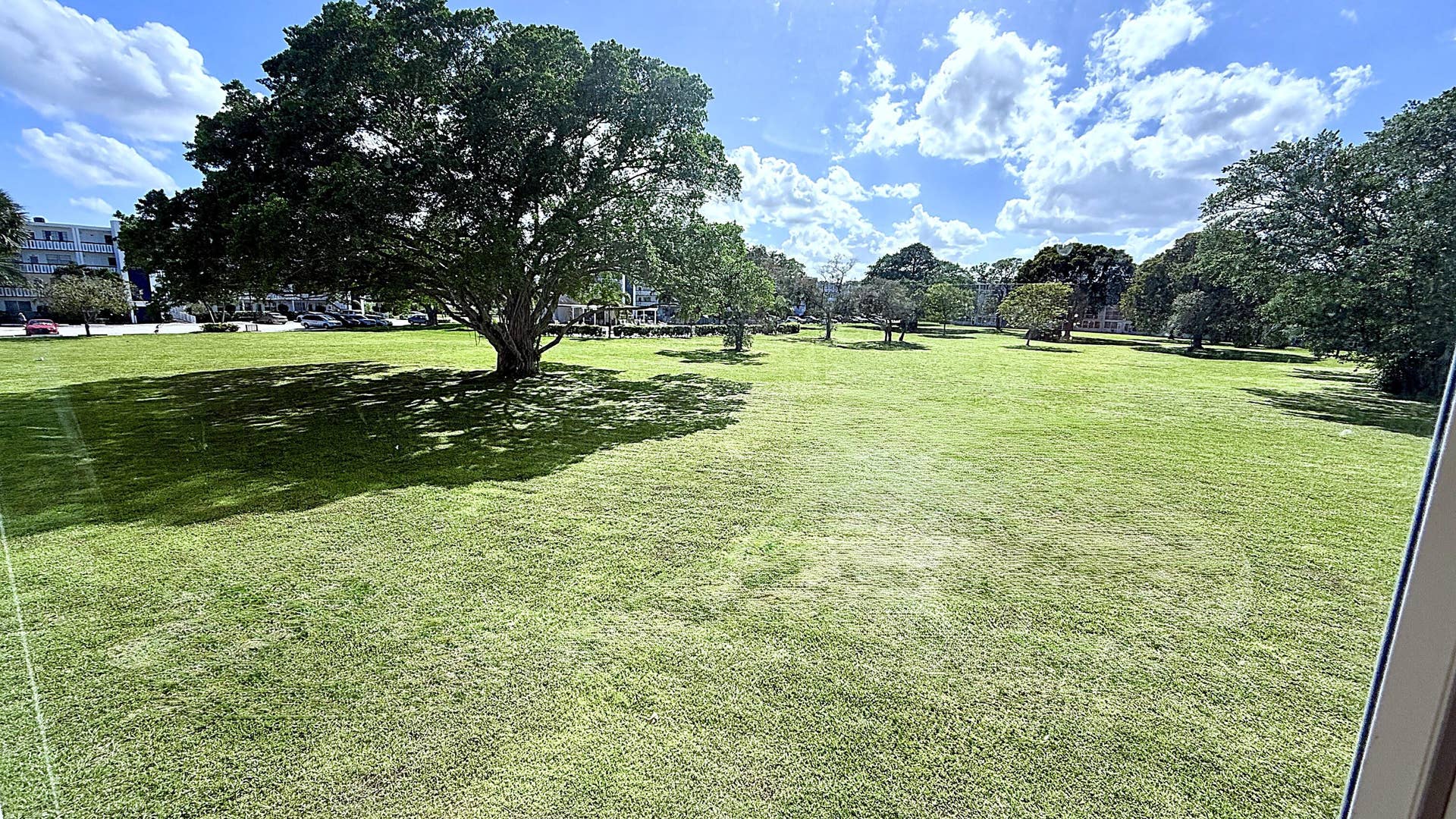 Enclosed Patio View