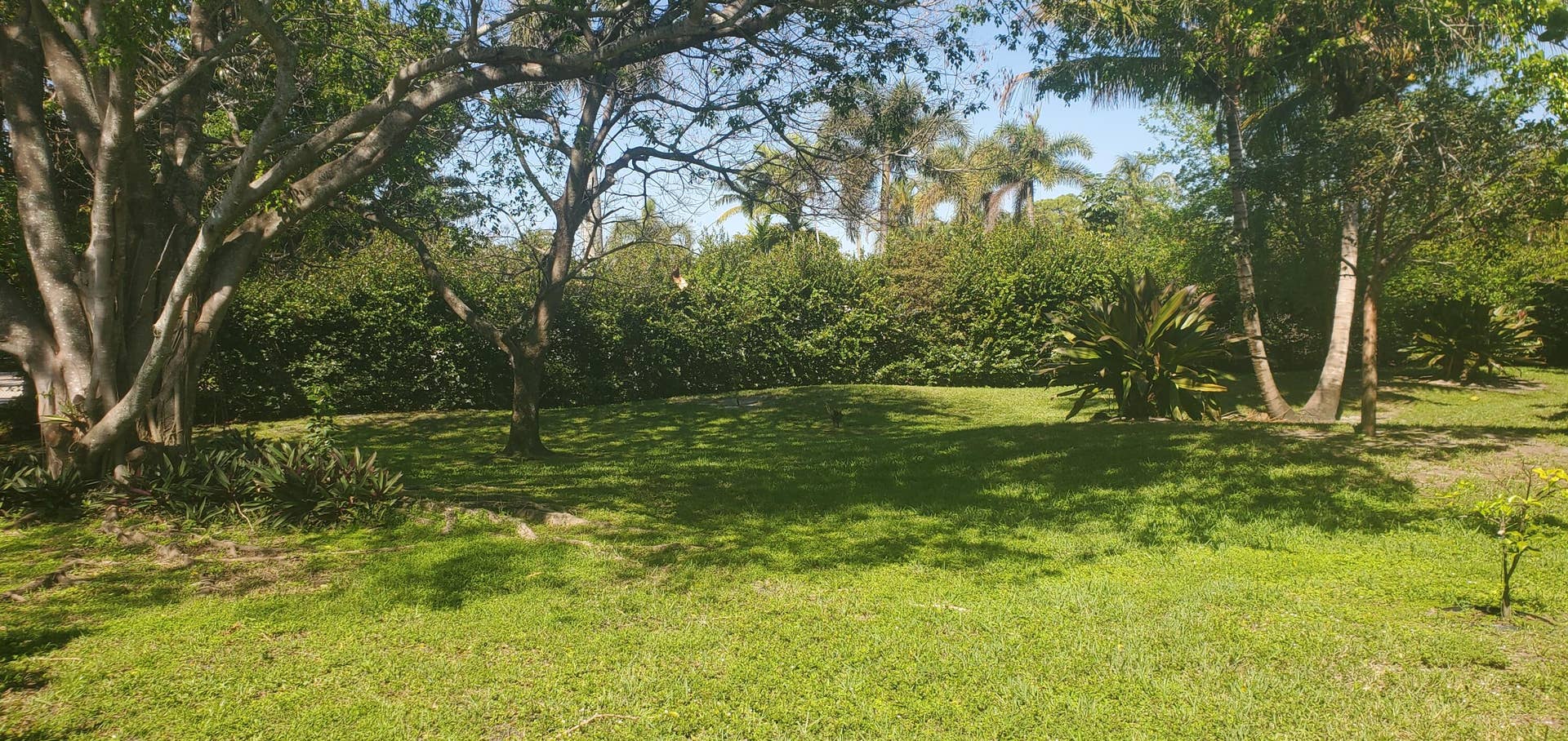 grounds