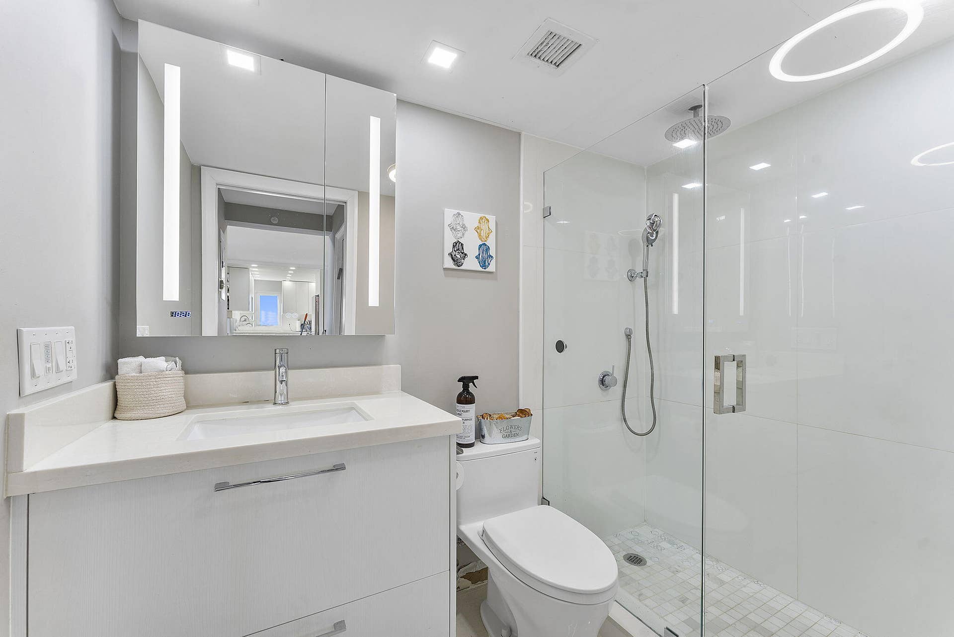 35-web-or-mls-DSC06109