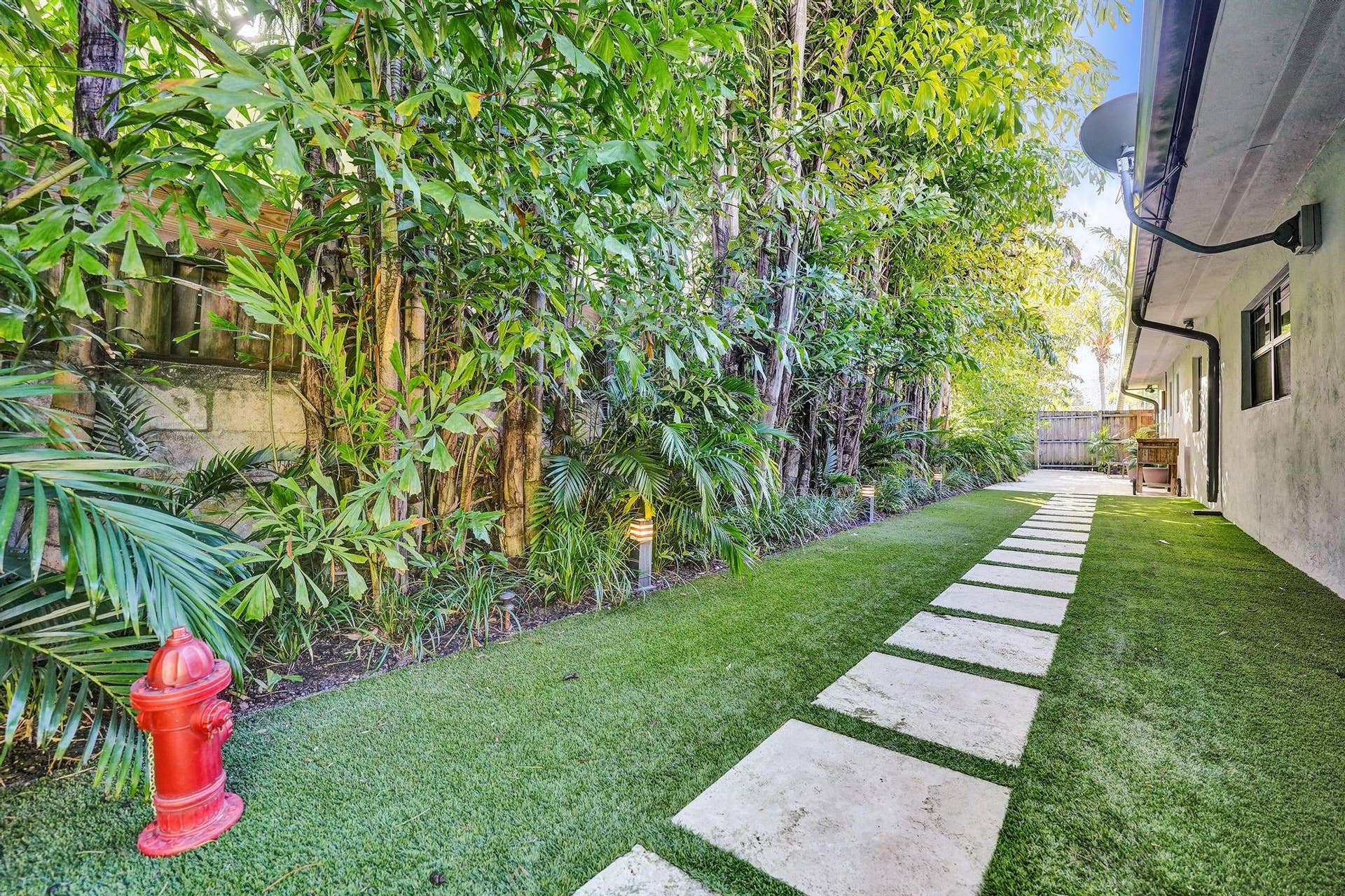 Side Yard