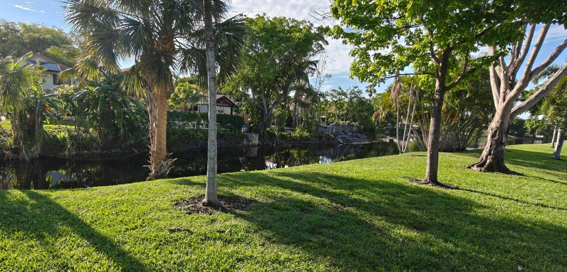 385 NW 36th Avenue, Deerfield Beach, FL 33442 View from backyard
