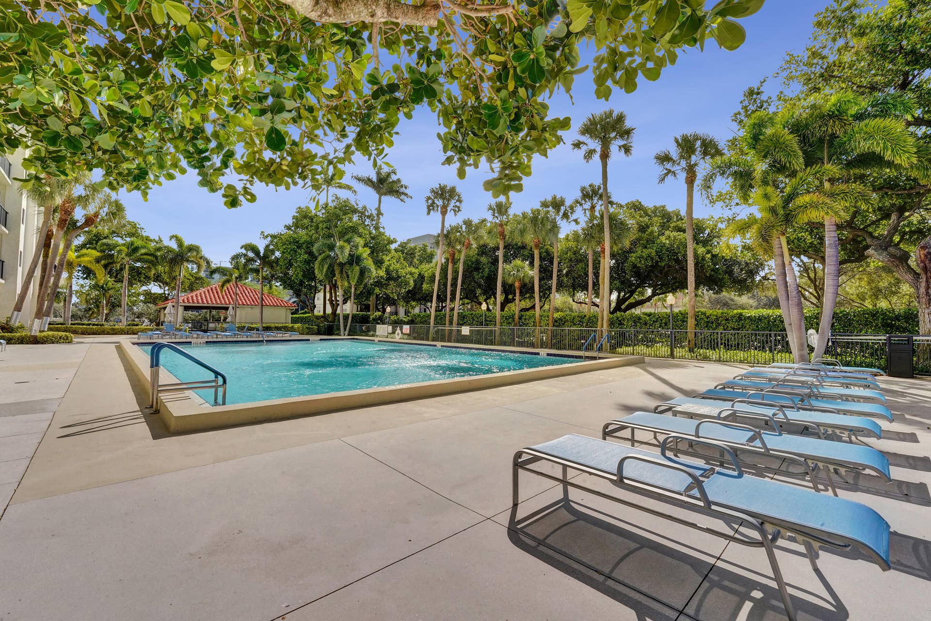 pool lounge chairs