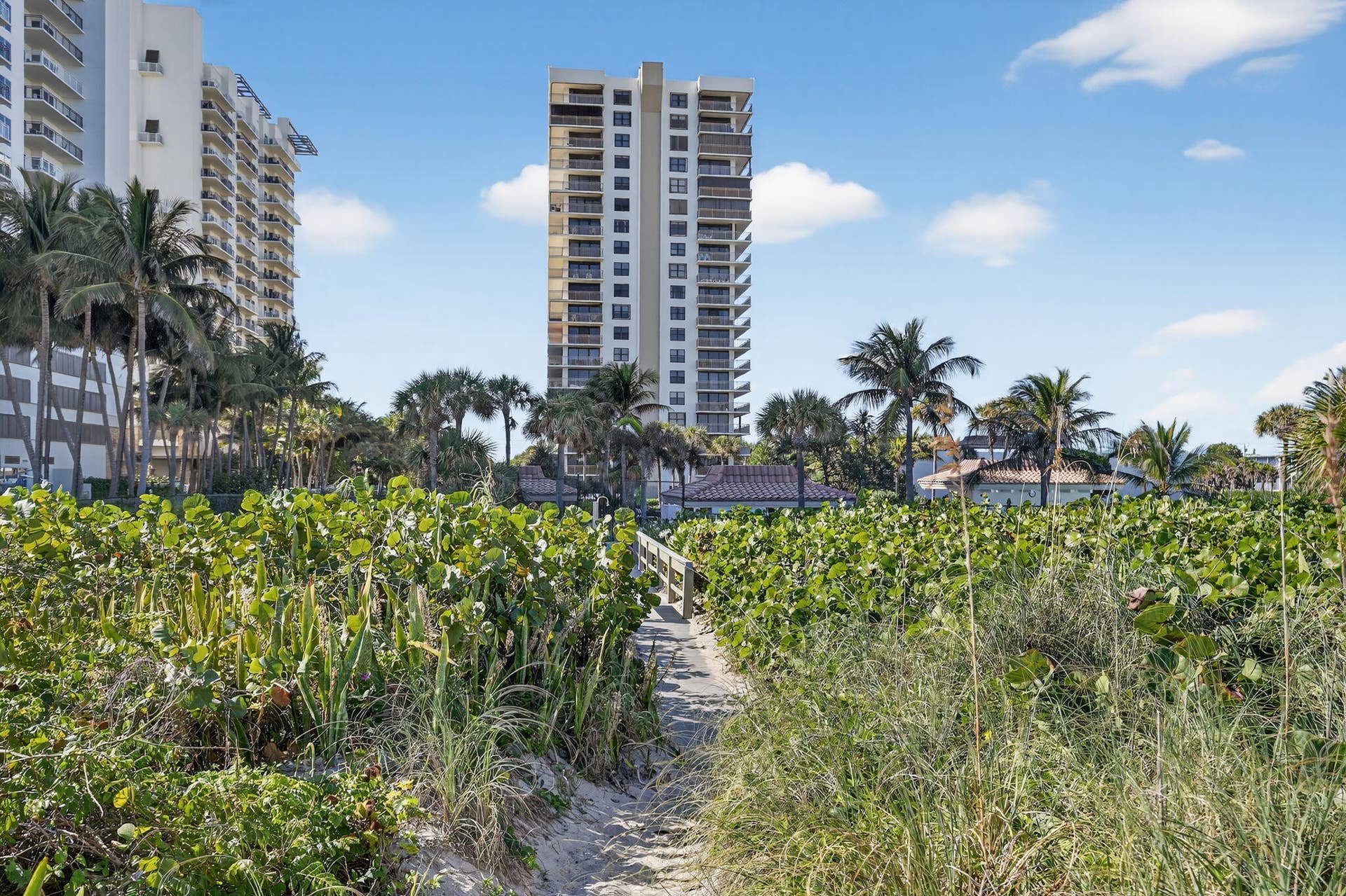 3400 N Ocean Drive, #408, Singer Island, Singer Island, FL 33404 Oceantree
