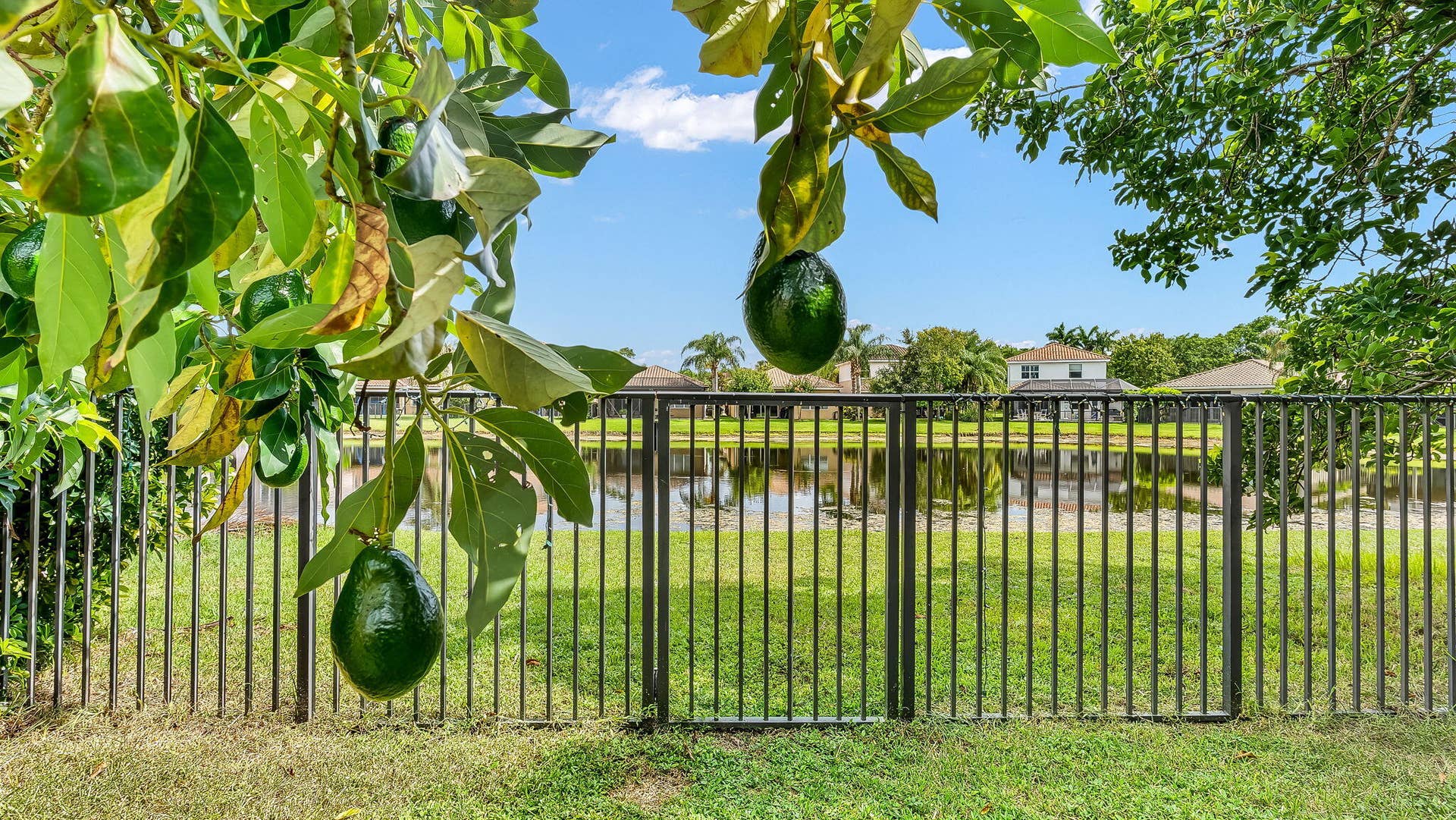 8292 Calabria Lakes Drive, Boynton Beach, FL 33473 48-web-or-mls-DSC09220