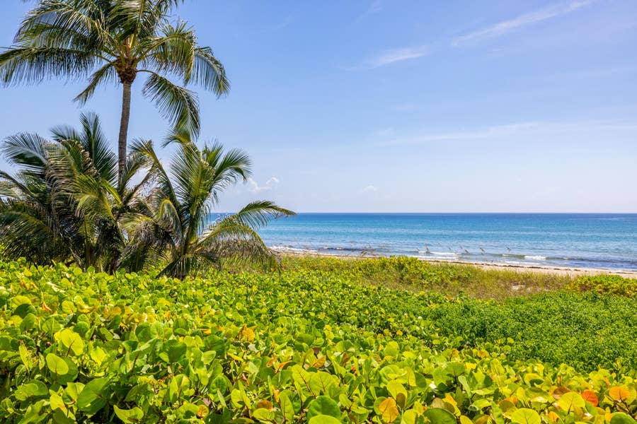 Property photo for 246 NE 14th Street, Delray Beach, FL