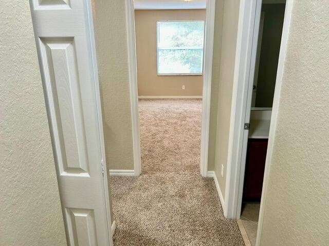 22124 Majestic Woods Way, Boca Raton, FL 33428 PHOTO-2026-03-31-14-50-43_9