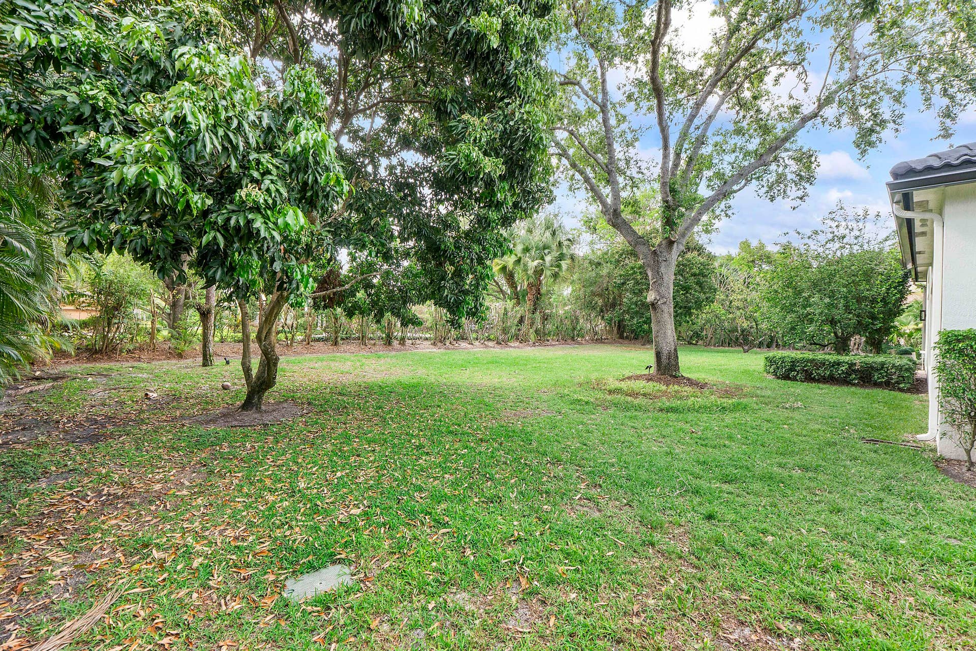 6015 Pinewood Avenue, Parkland, FL 33067 6015 Pinewood Ave_076