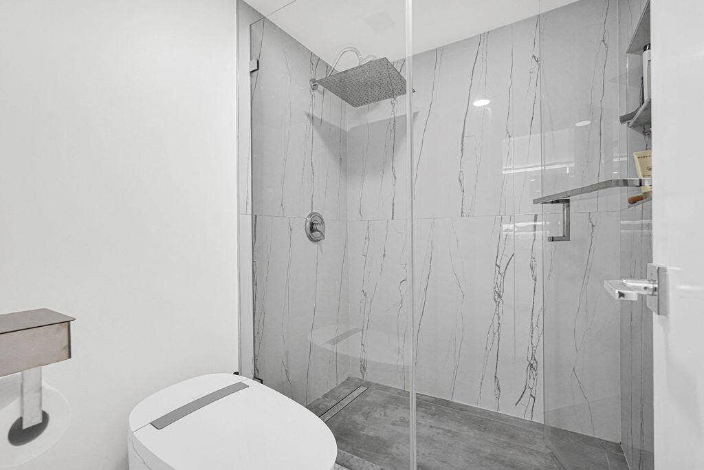 Beautiful shower and Hi Tech auto flush commode/bidet
