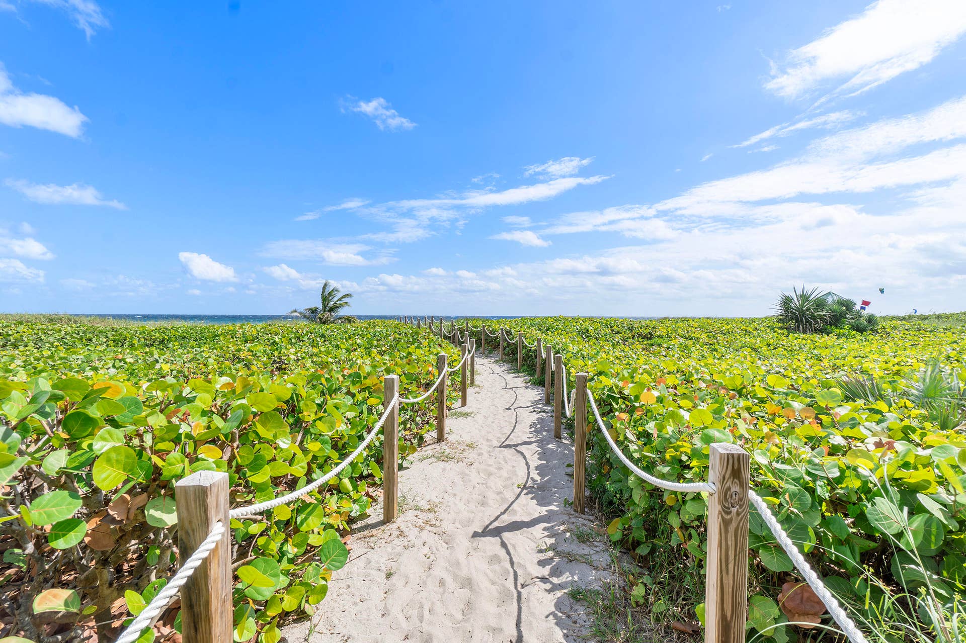 250 S Ocean Boulevard, #274, Delray Beach, FL 33483 250 S Ocean Blvd U274_033
