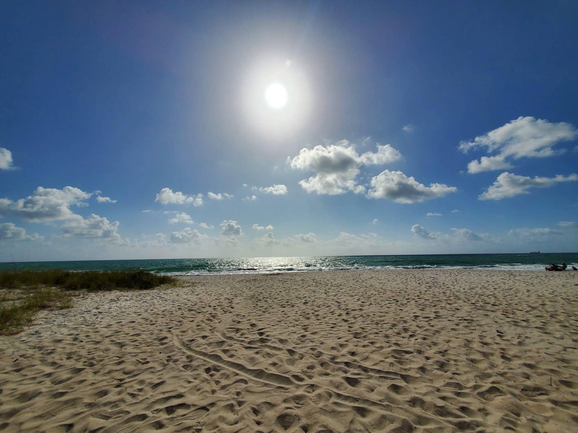 3201 NE 29th Street, #308, Fort Lauderdale, Fort Lauderdale, FL 33308 94d142a1-500f-4fcd-9c99-1f32ed02a86c
