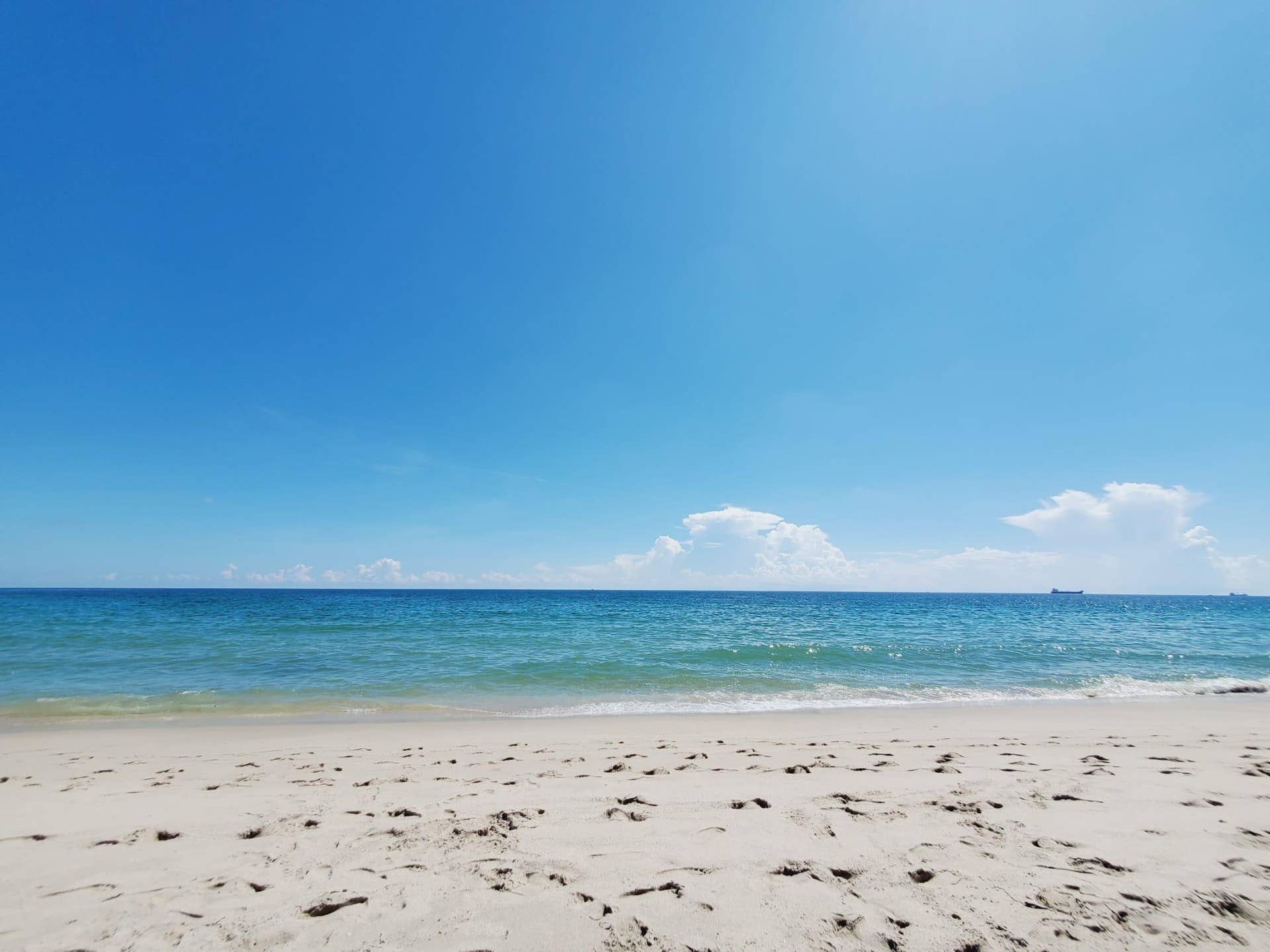 3201 NE 29th Street, #308, Fort Lauderdale, Fort Lauderdale, FL 33308 7ef8048c-f2f6-4b3e-9798-1512c13720d3