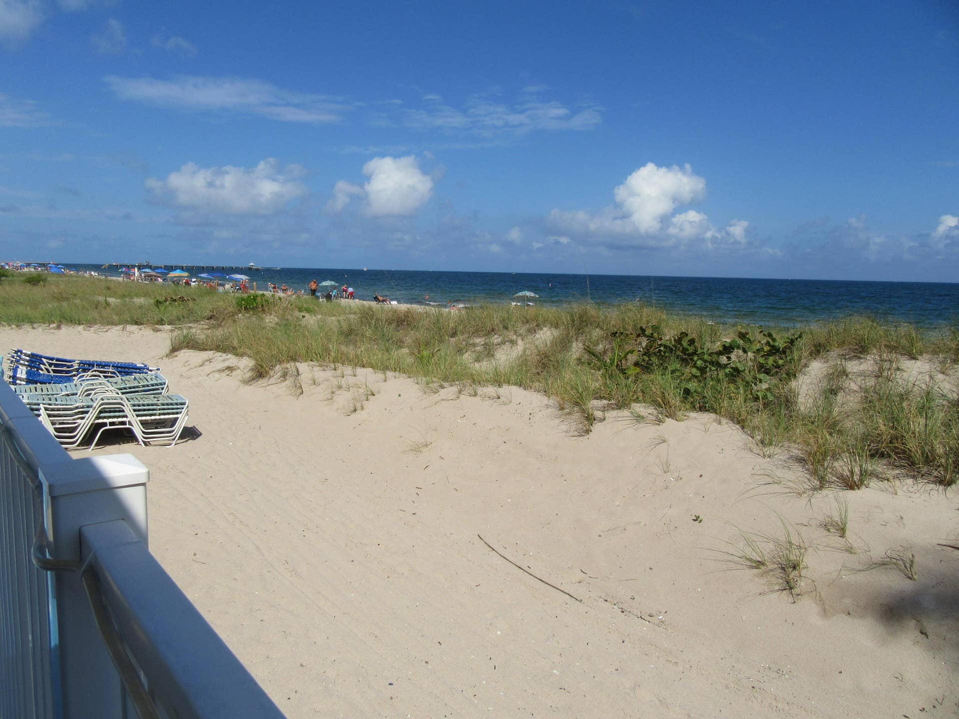 4050 N Ocean Drive, #1504, Lauderdale By The Sea, FL 33308 POOL VIEW