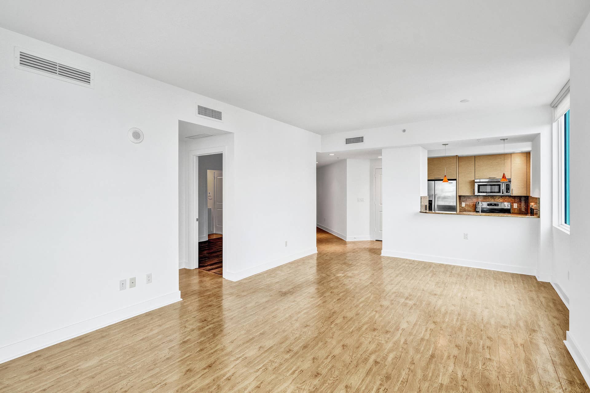 315 NE 3rd Avenue, #1201, Fort Lauderdale, FL 33301 DSC00248