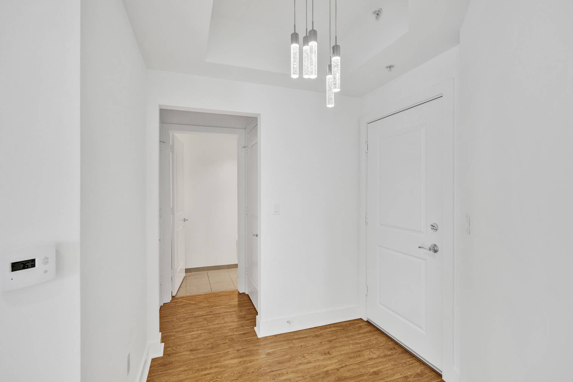 315 NE 3rd Avenue, #1201, Fort Lauderdale, FL 33301 DSC00227