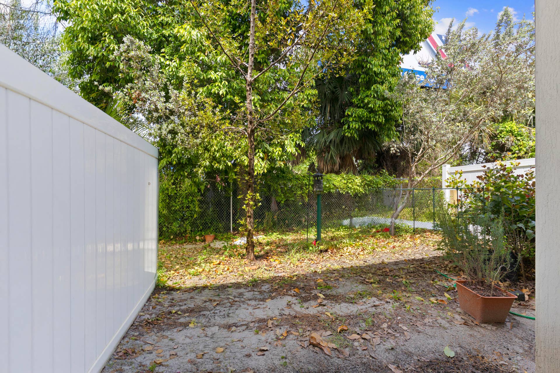 Backyard