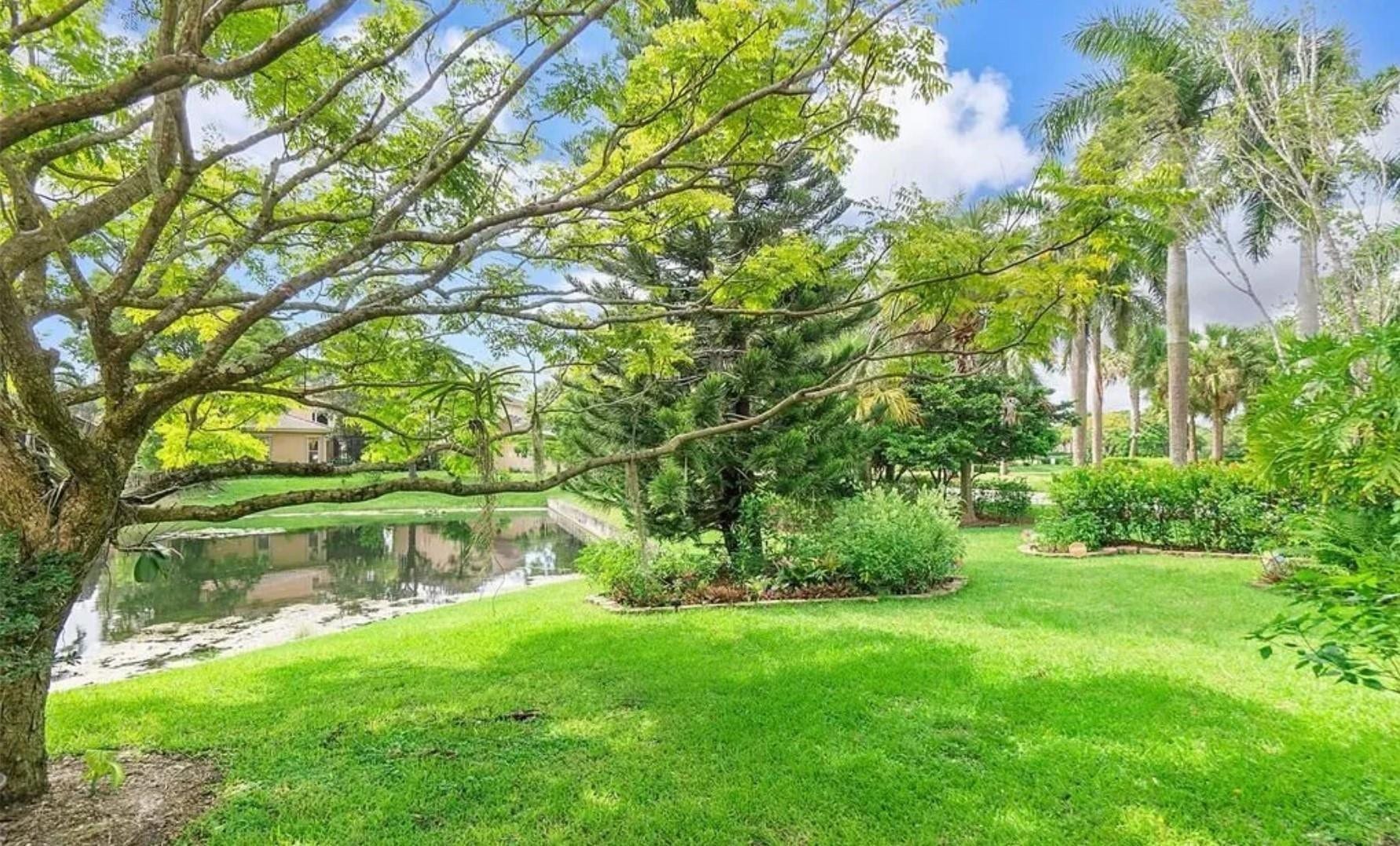 Back garden on lake