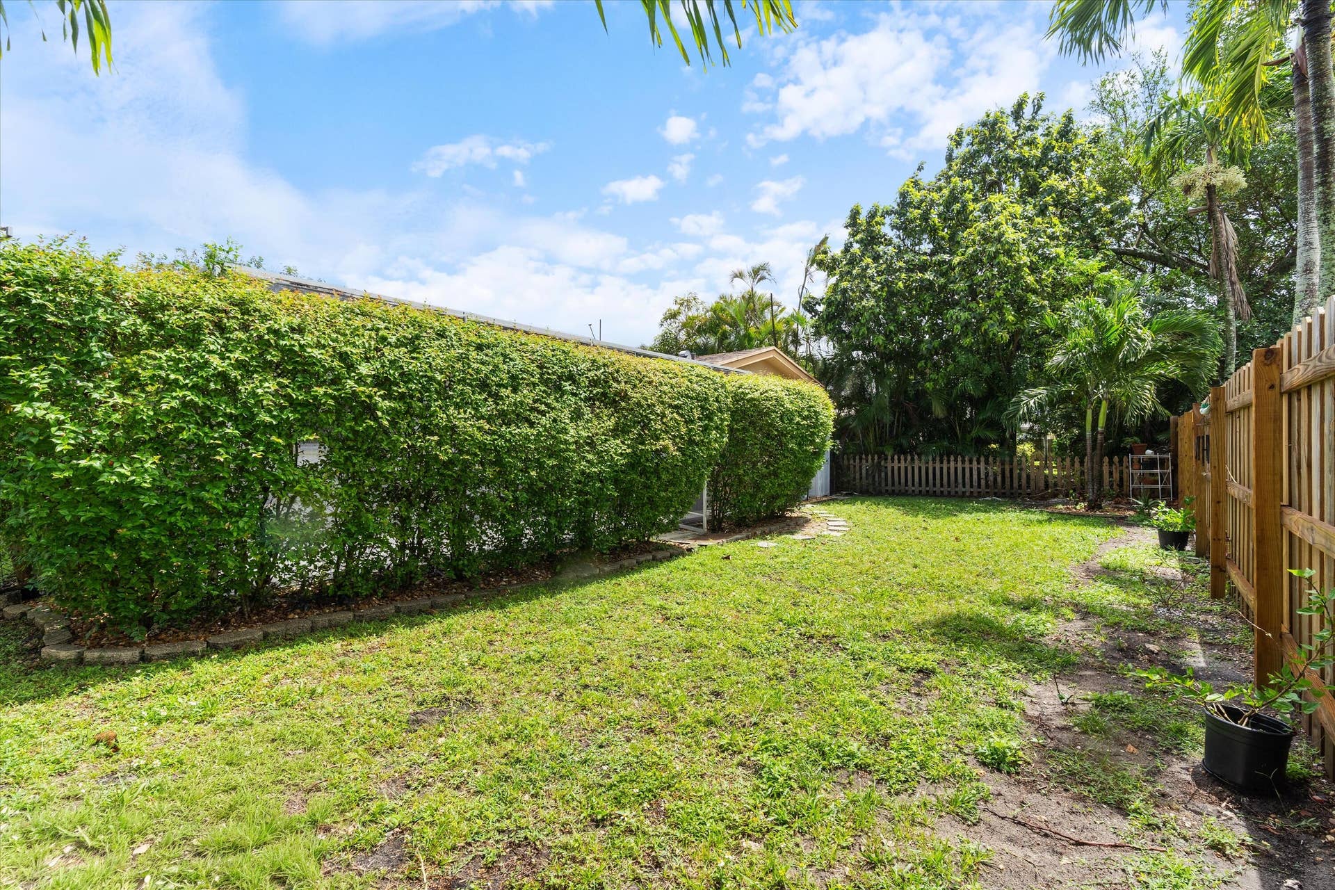 Back yard