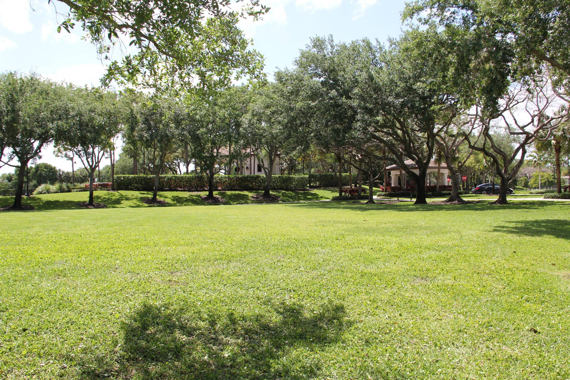15234 SW 40th Street, Davie, FL 33331 Dog Park