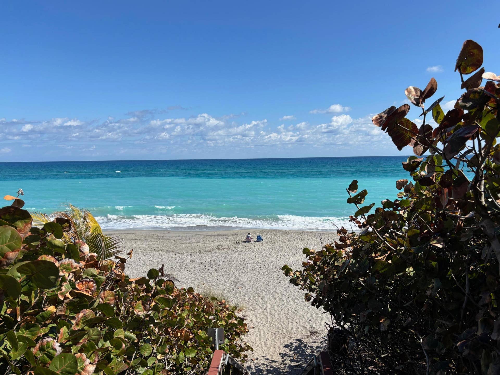 1003 Ocean Dunes Circle, Jupiter, Jupiter, FL 33477 Beautiful Jupiter beach