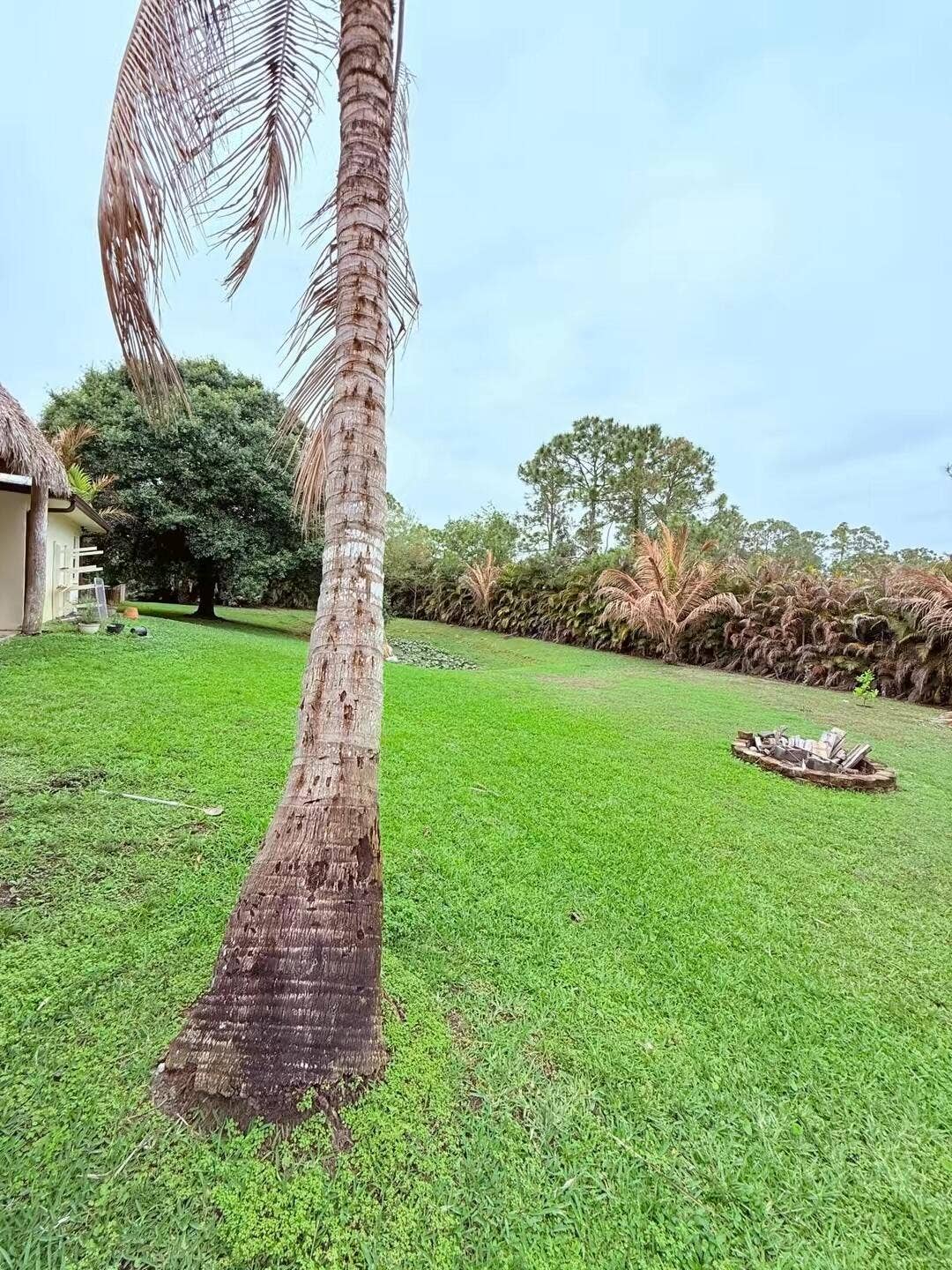 13383 Temple Boulevard, West Palm Beach, FL 33412 temp_image_B0BDD35E-498E-4DCF-BE98-7C7BE