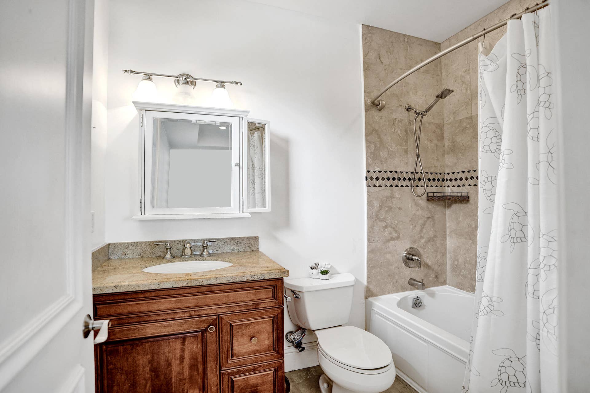 4700 NE 29th Avenue, Fort Lauderdale, FL 33308 DSC07156