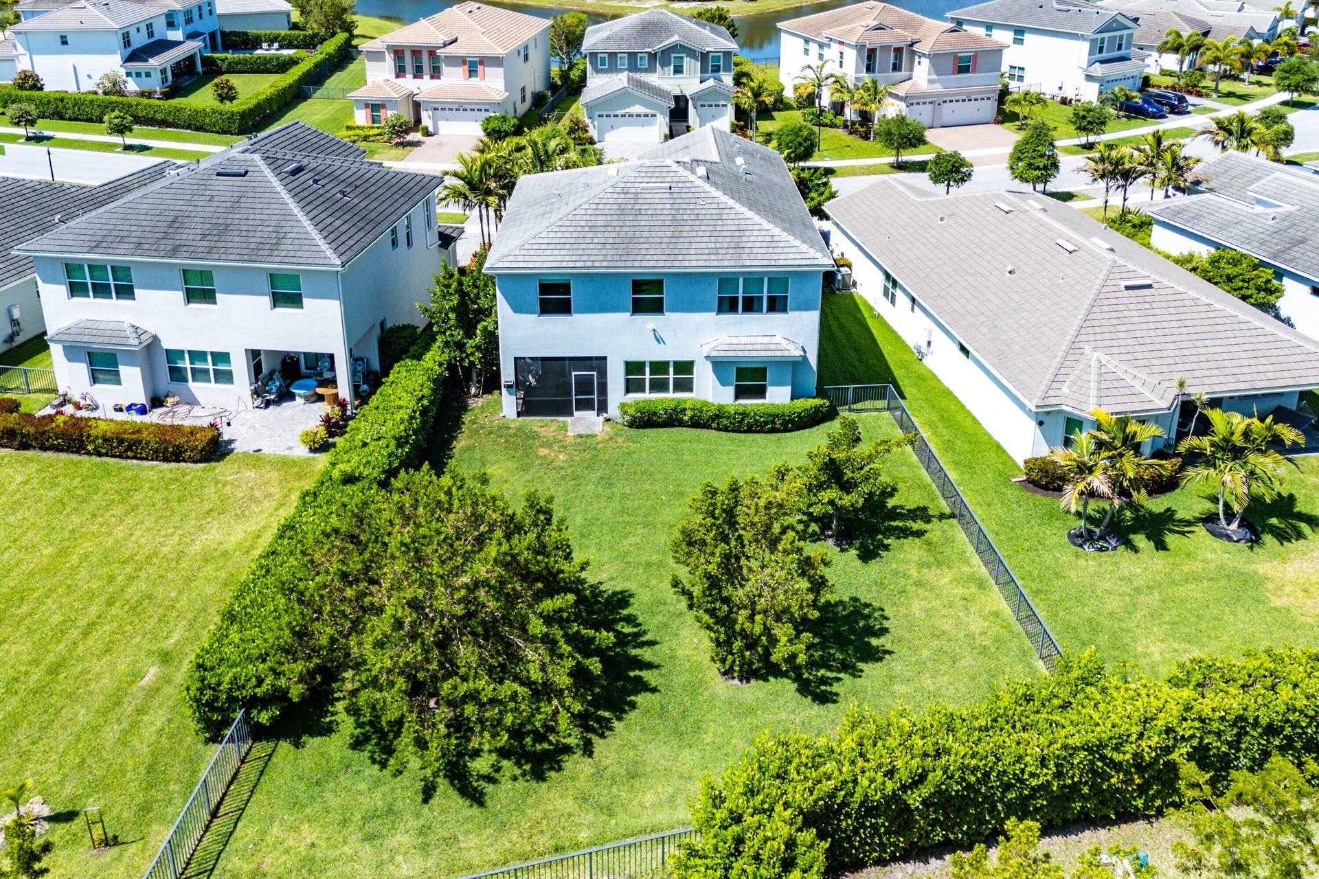 back yard