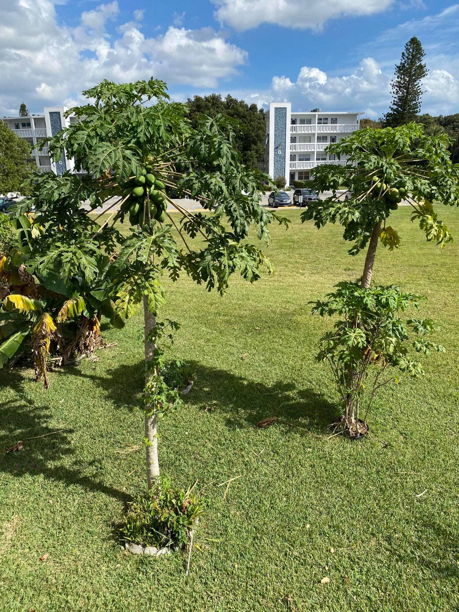 72 Newport D, #72, Deerfield Beach, Deerfield Beach, FL 33442 IMG-1070