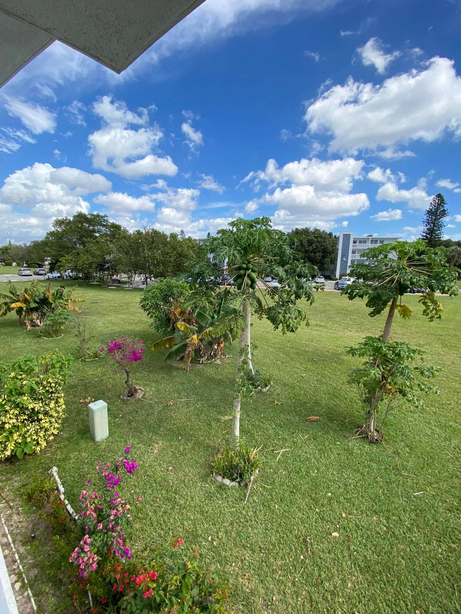 72 Newport D, #72, Deerfield Beach, Deerfield Beach, FL 33442 IMG-1016