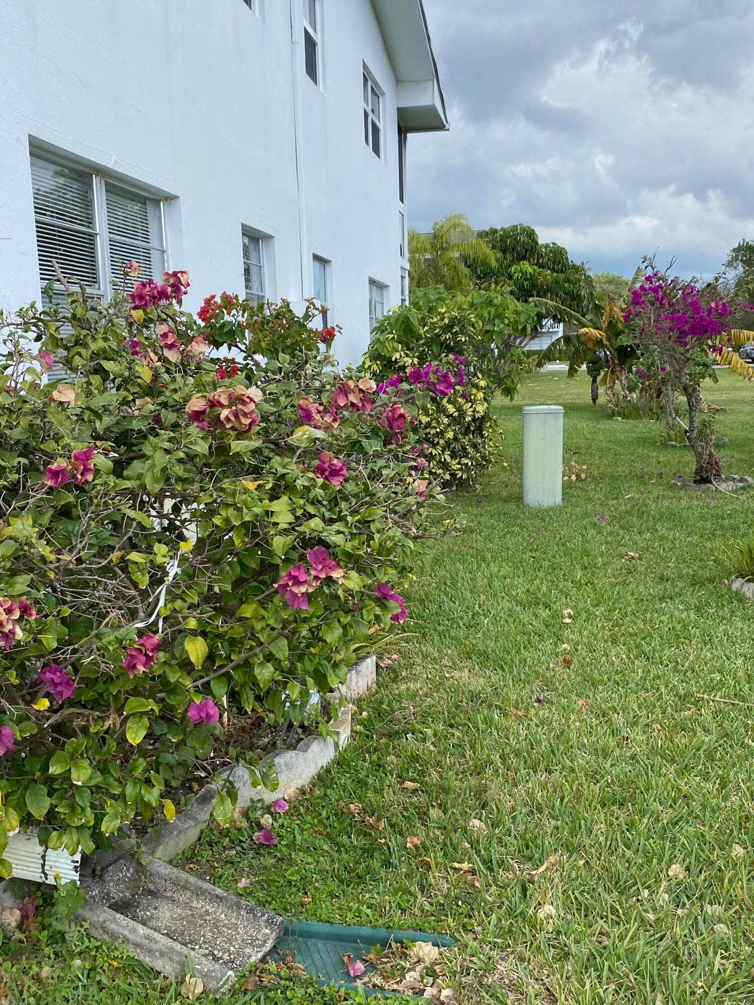 72 Newport D, #72, Deerfield Beach, Deerfield Beach, FL 33442 IMG-1074