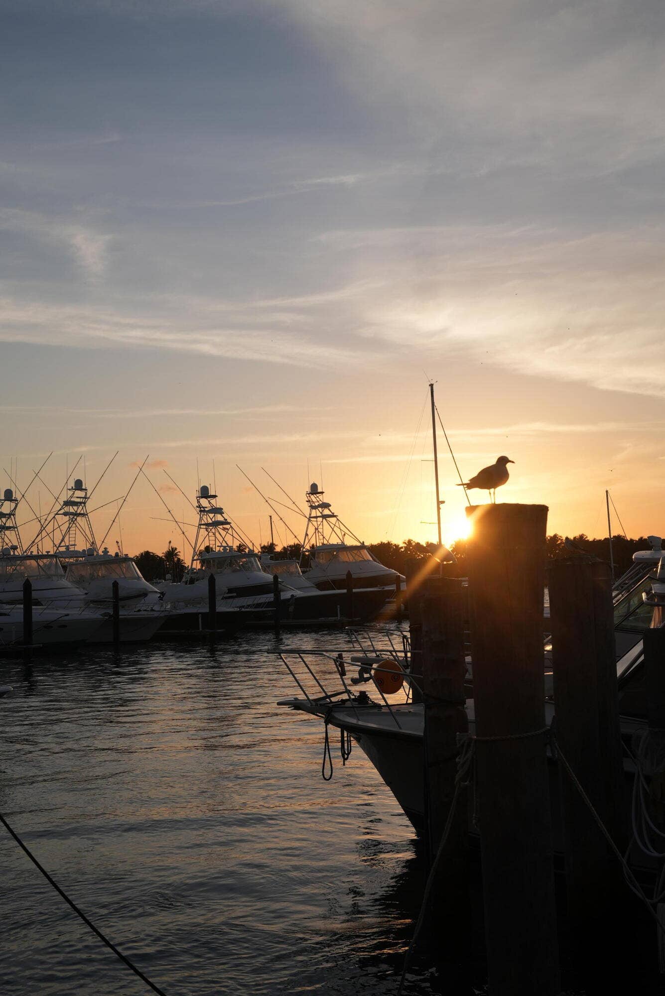 182 Lake Drive, #5302, Palm Beach Shores, FL 33404 Havn_Yacht Club at Sunset