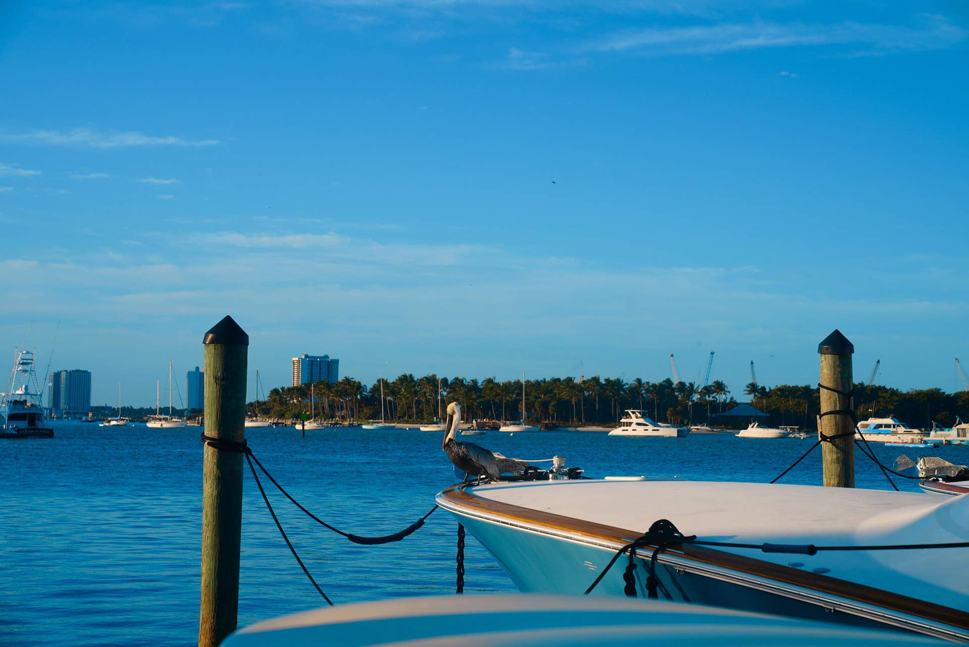 182 Lake Drive, #5302, Palm Beach Shores, FL 33404 HAVN_Pelican_Boat_DSC02107