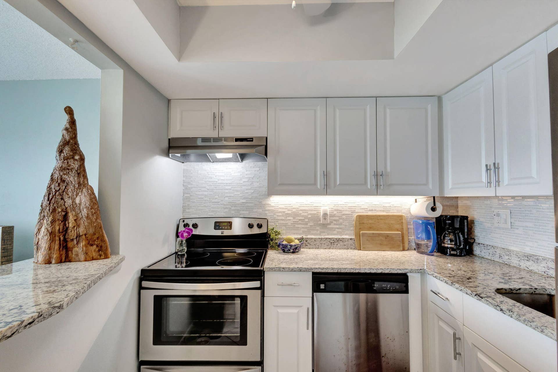 2936 Lake Shore Drive, #309, Riviera Beach, FL 33404 Kitchen