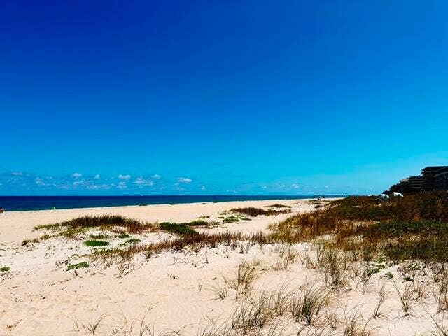 2560 S Ocean Boulevard, #603, Palm Beach, Palm Beach, FL 33480 Ocean Beach