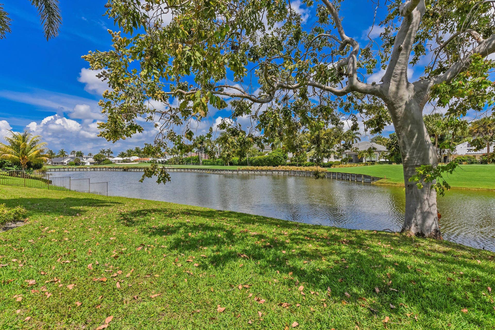 water view