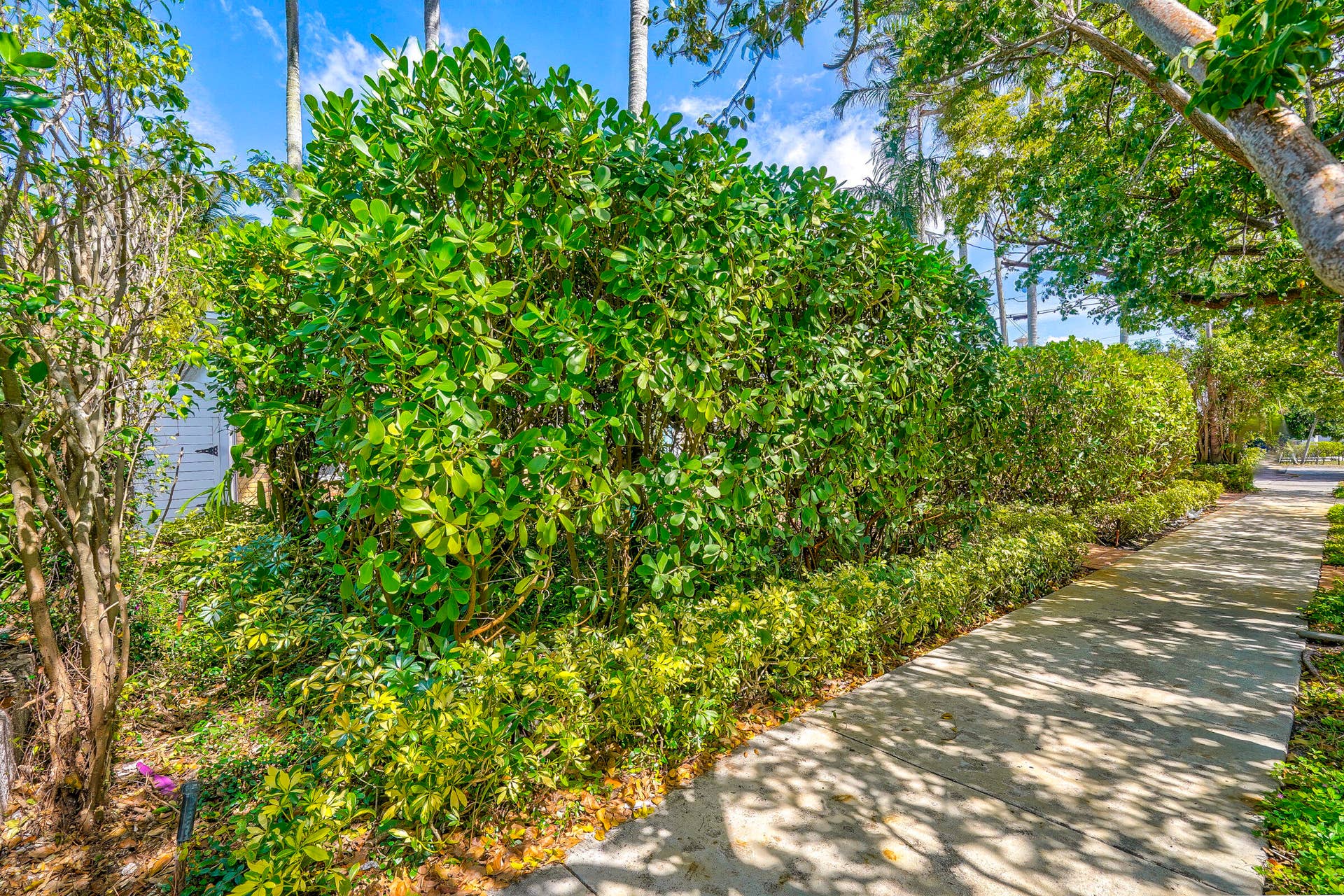 411 26th Street, West Palm Beach, West Palm Beach, FL 33407 41126St-4