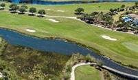 AERIAL GOLF