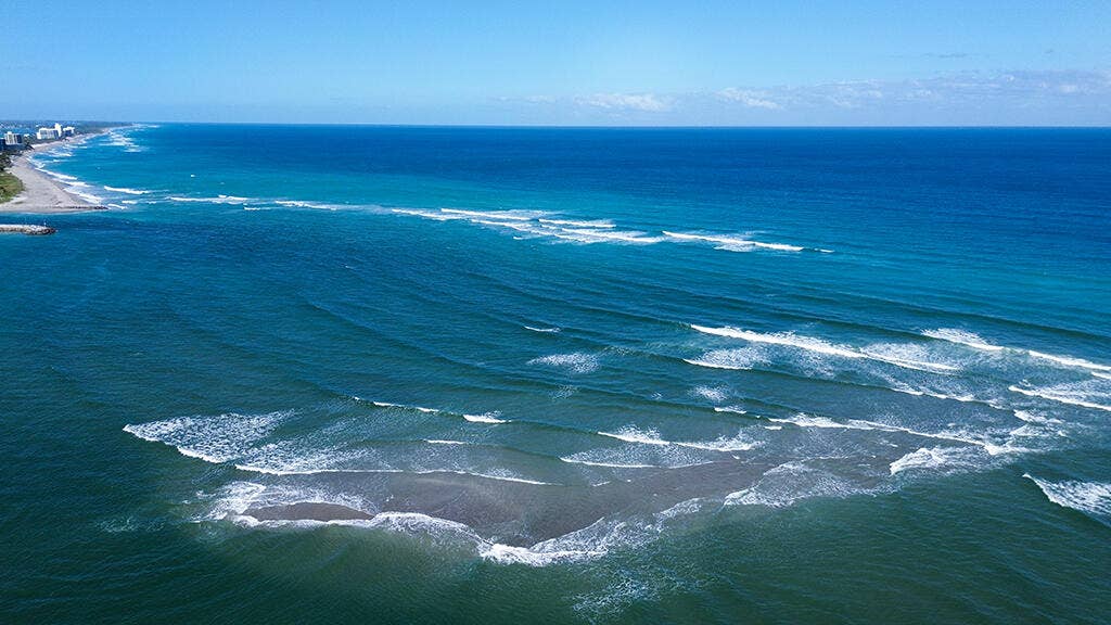 400 Ocean Trail Way, #203, Jupiter, FL 33477 10