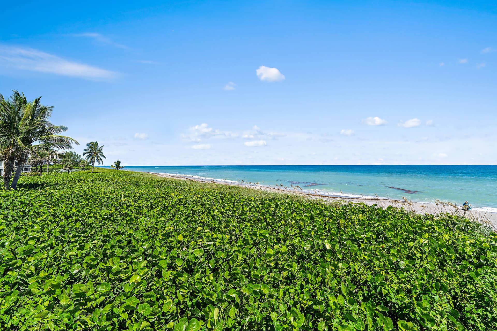 042-50CelestialWay-310-JunoBeach-FL-3340