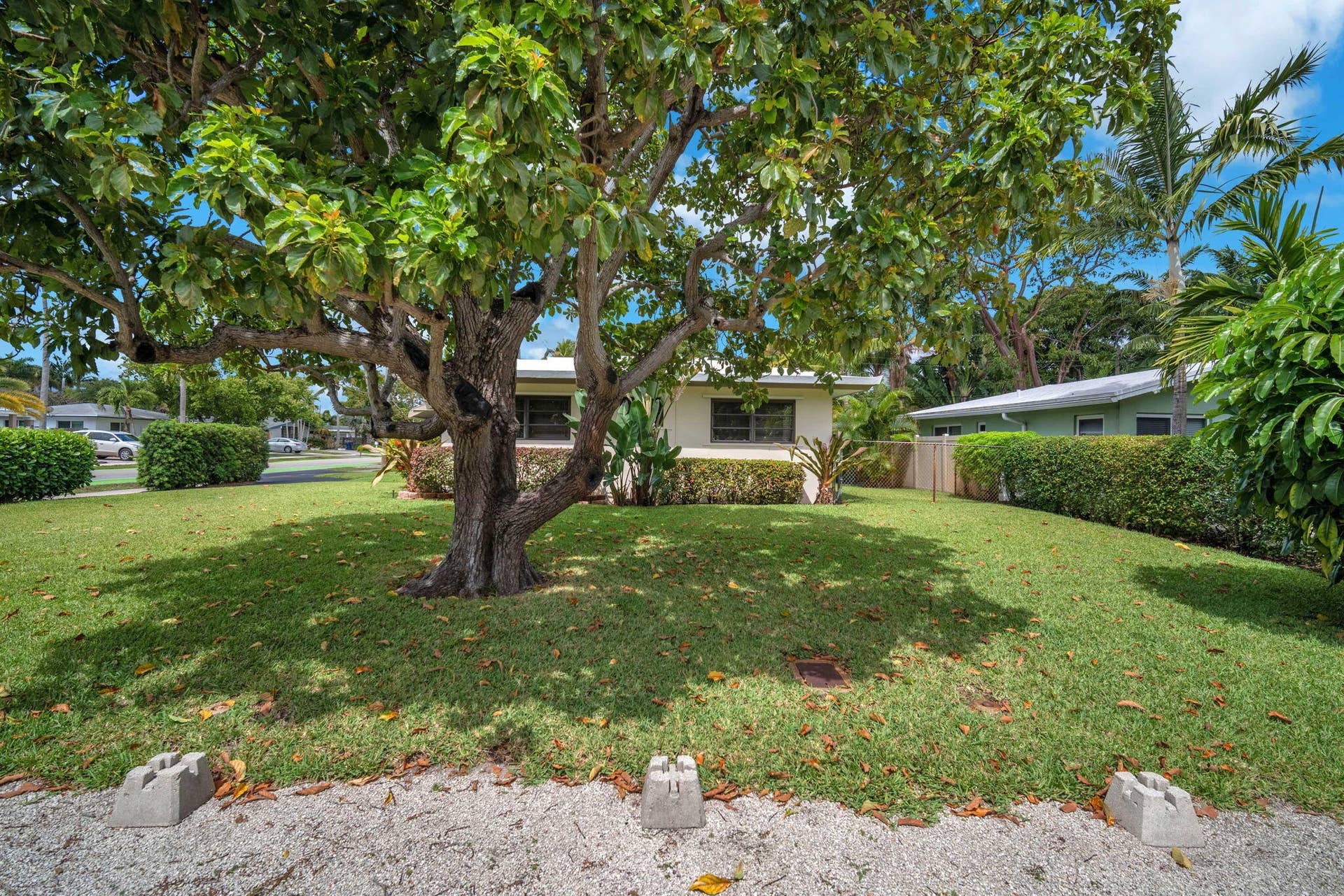 601 NW 29th Street, Wilton Manors, FL 33311 31-web-or-mls-DSC06804