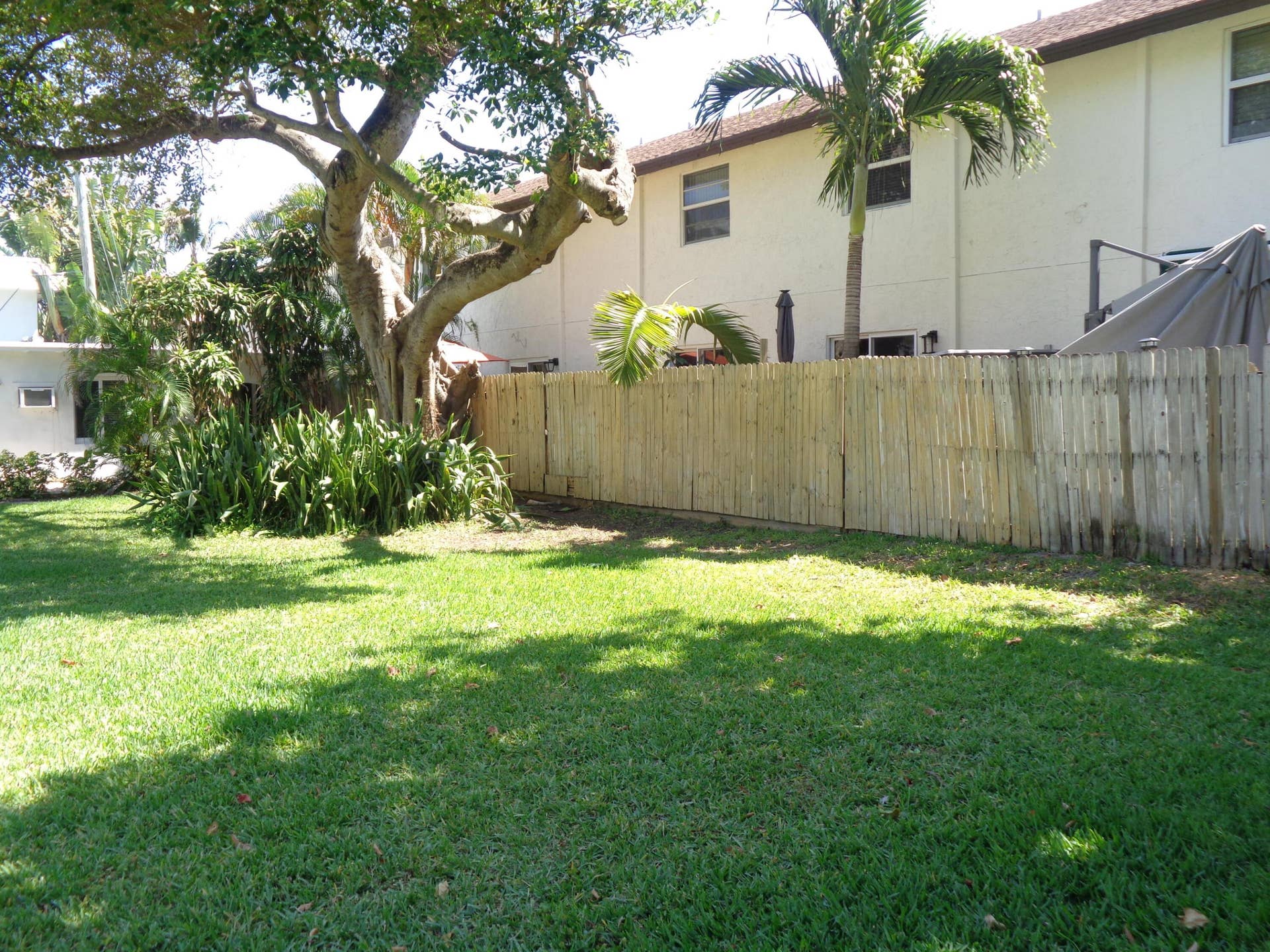 1917 NE 3rd Street, #103, Deerfield Beach, Deerfield Beach, FL 33441 DSC01829