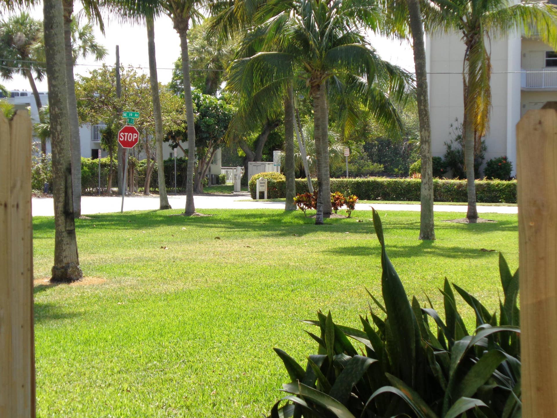 1917 NE 3rd Street, #103, Deerfield Beach, Deerfield Beach, FL 33441 DSC01858