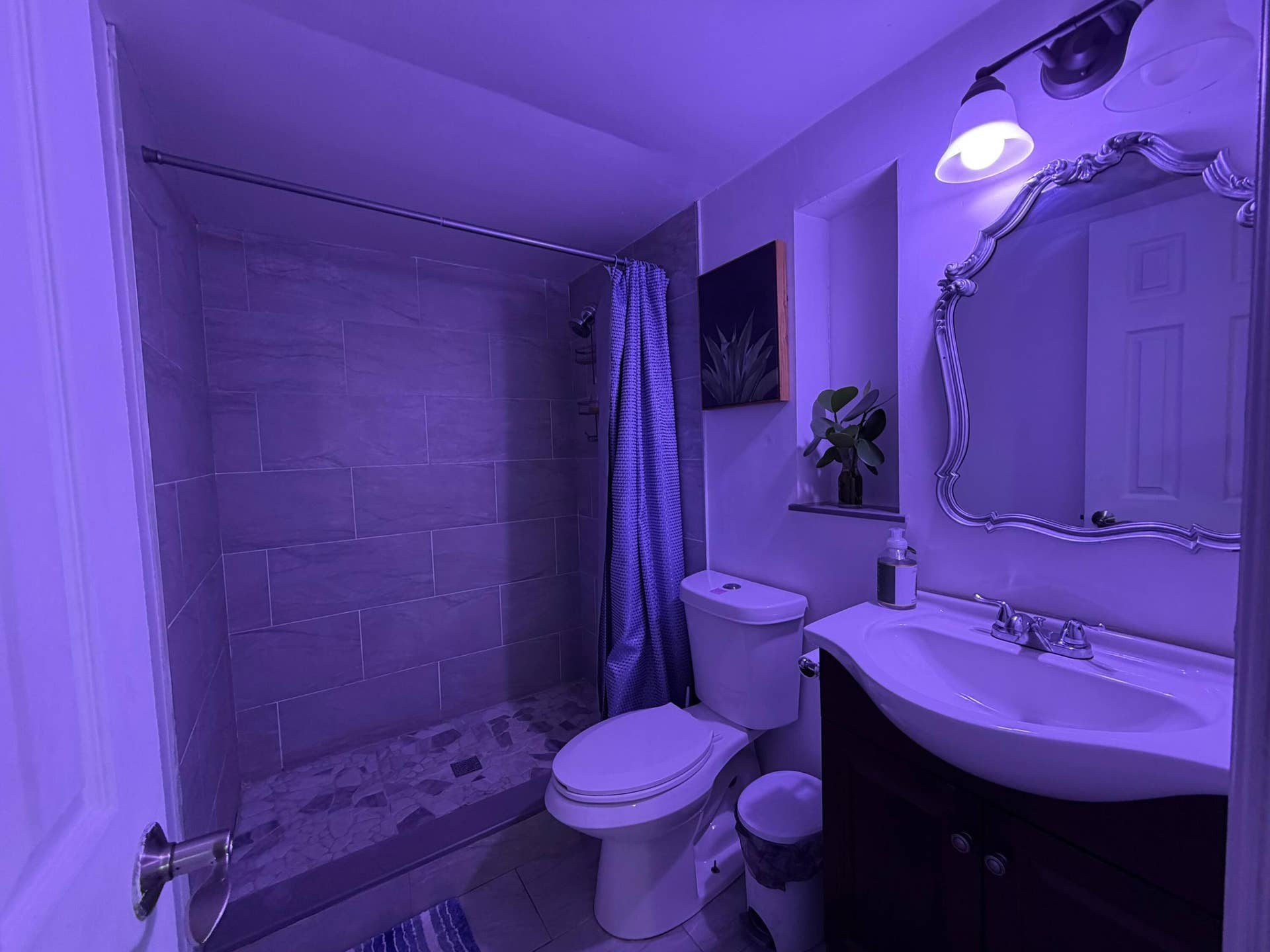 1117 SW 22nd Avenue, Fort Lauderdale, FL 33312 Adjacent studio bathroom (Bathroom #4)