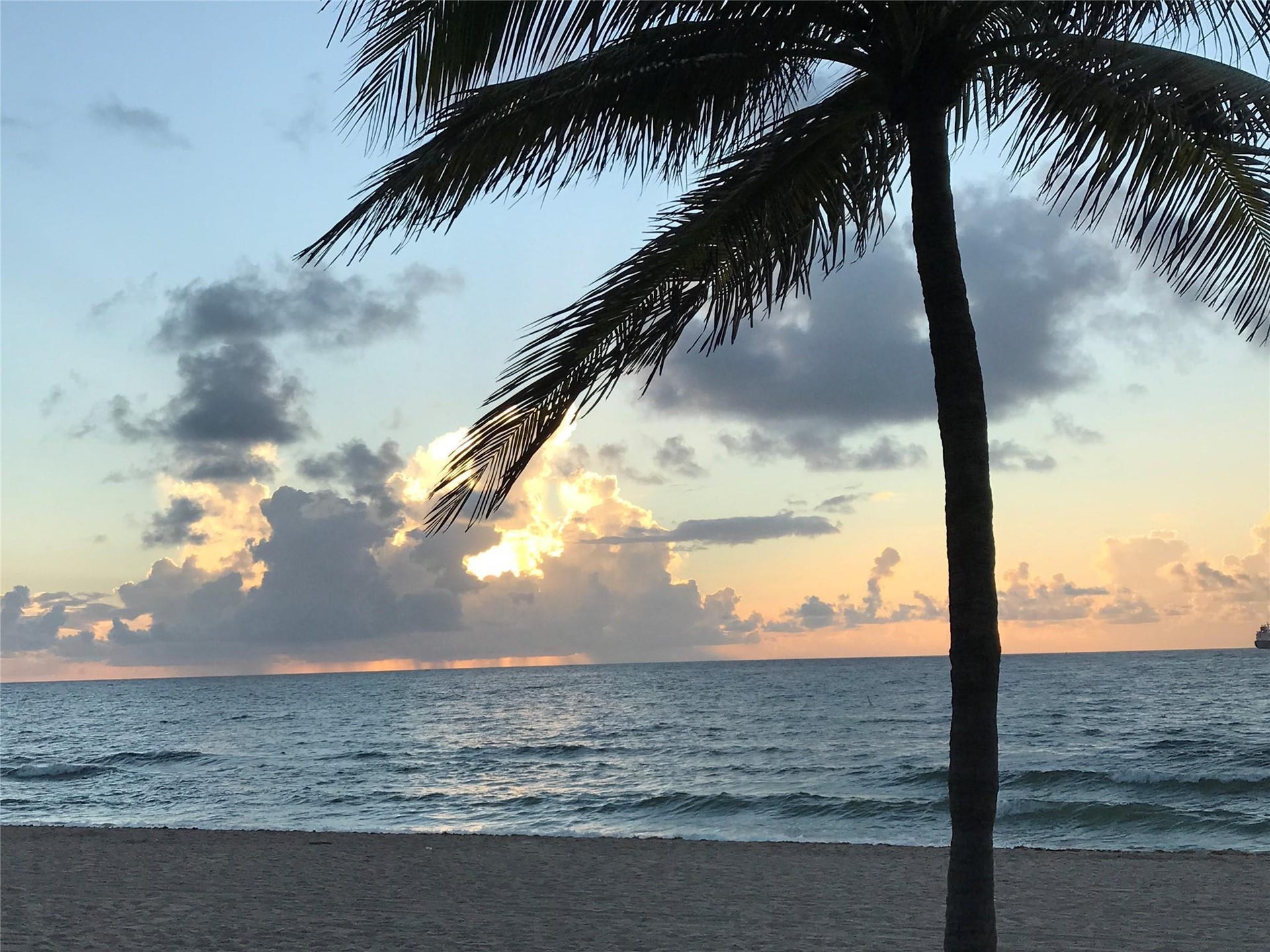 333 Sunset Drive, #503, Fort Lauderdale, FL 33301 Photo 63