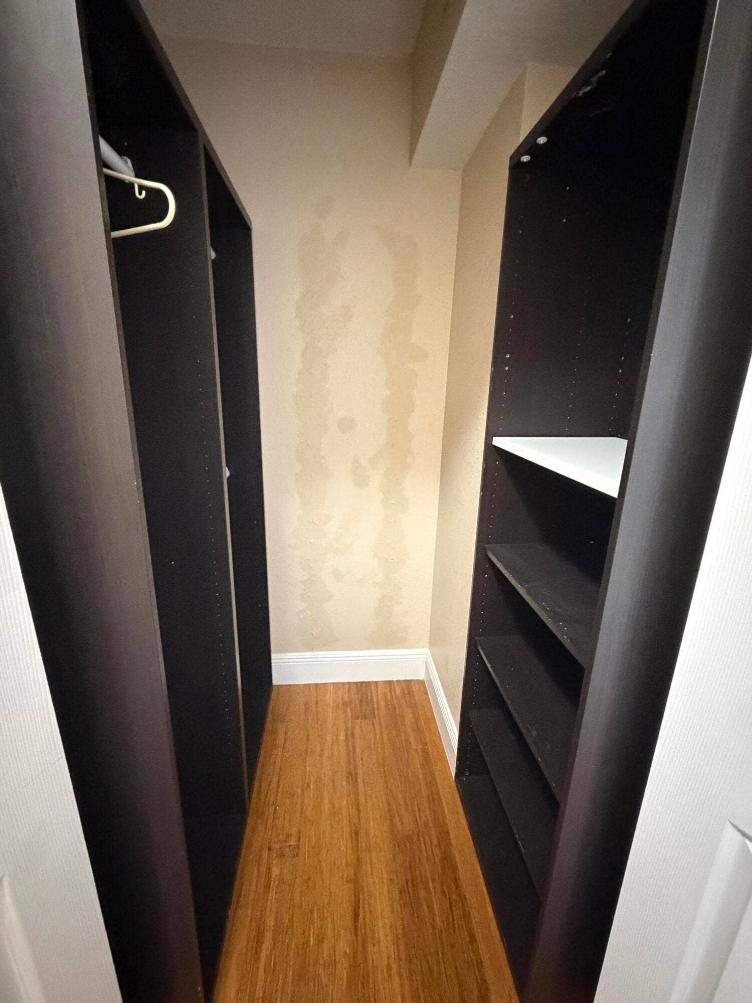Master Closet 1